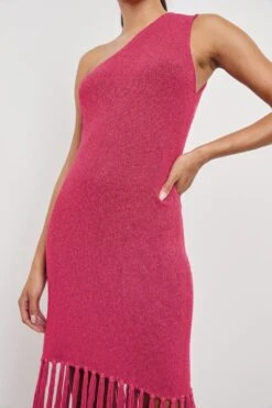 RAILS ANTONIA DRESS - RASPBERRY -Rails ANTONIA RASPBERRY 2