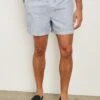 RAILS LA BREA SWIM SHORT - BLUE WHITE SEERSUCKER 2 RAILS LA BREA SWIM SHORT - BLUE WHITE SEERSUCKER -Rails LA BREA BLUE WHITE SEERSUCKER 1